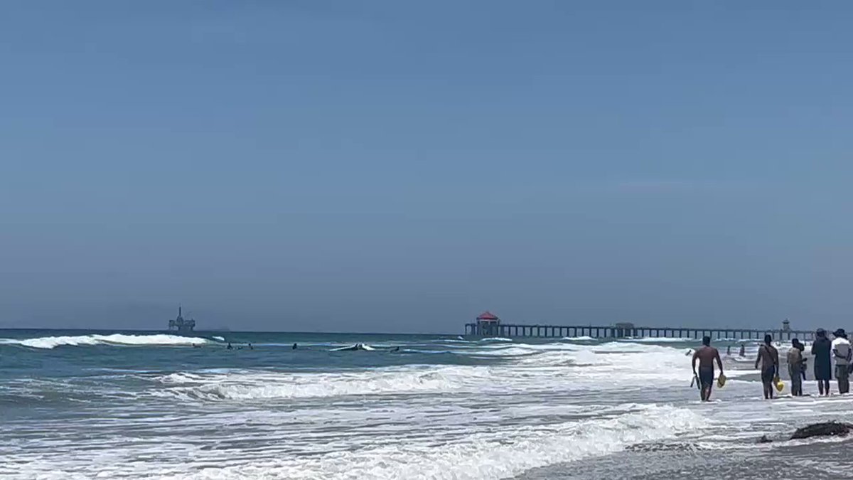 A small plane has crashed in the ocean in Huntington Beach