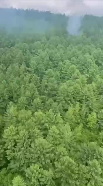 No survivors in An-24 plane crash in Amur region of Russia